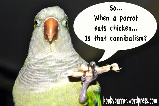 Cannibal parrot?