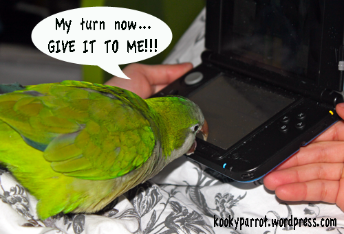 Parrot likes video games